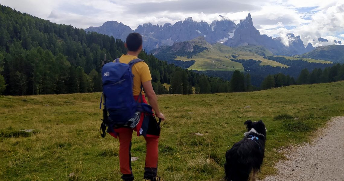 Passeggiata a Malga Bocche con il cane