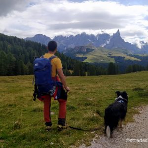 Passeggiata a Malga Bocche con il cane