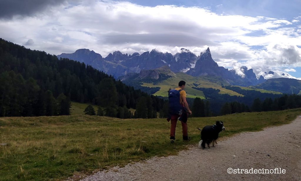 Passeggiata a Malga Bocche con il cane