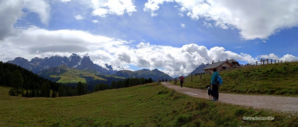 Passeggiata a Malga Bocche con il cane