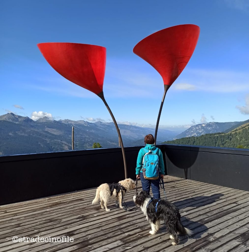 Passeggiata a Malga Bocche con il cane