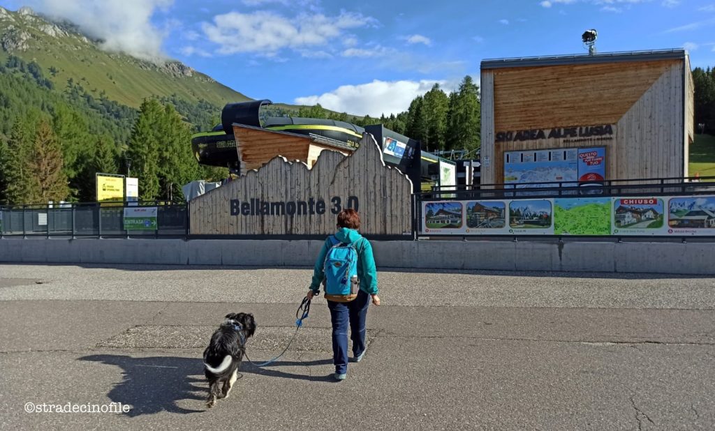 Passeggiata a Malga Bocche con il cane