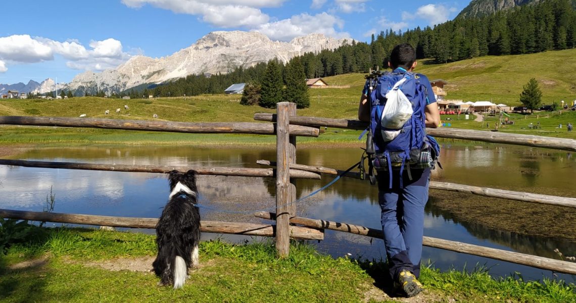 Dal passo Lavazè a Malga Costa con il cane