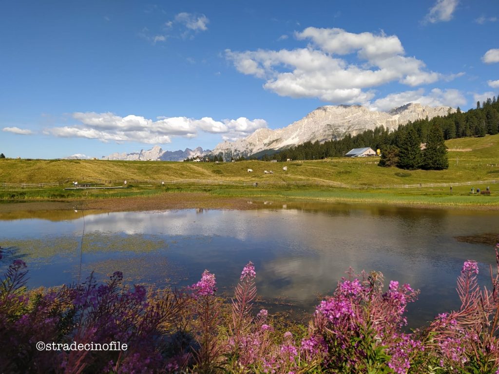 Dal passo Lavazè a Malga Costa con il cane