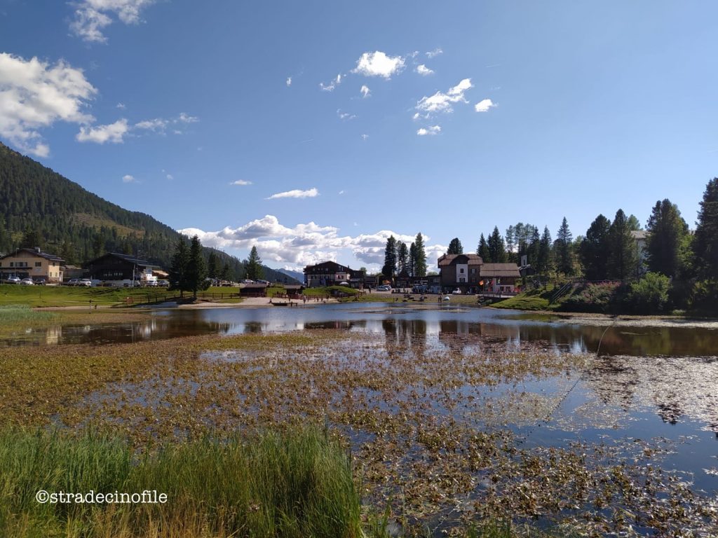 Dal passo Lavazè a Malga Costa con il cane