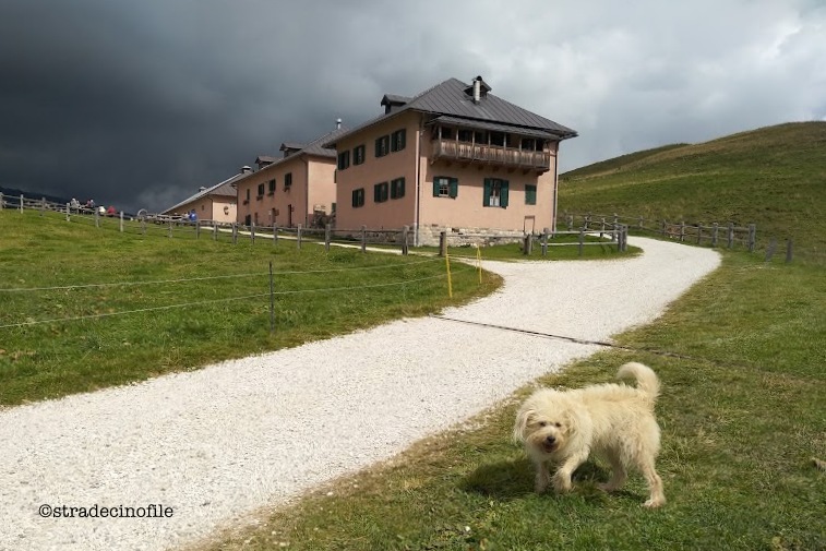 Alla Malga Juribello con il nostro cane